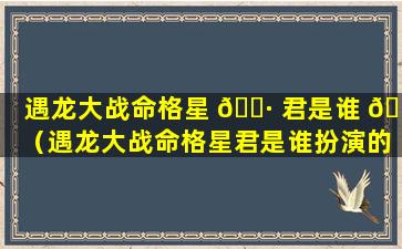 遇龙大战命格星 🕷 君是谁 🐋 （遇龙大战命格星君是谁扮演的）